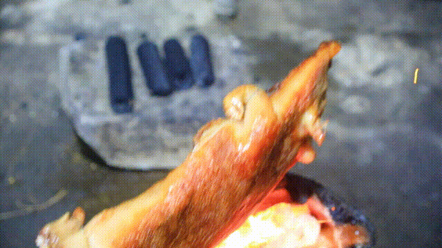 5.gif